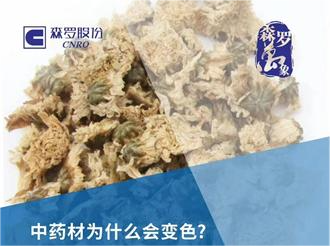 《森羅萬象》，萬象包羅 第2問